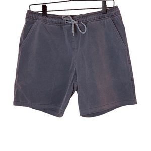 Marine Layer Gray Men's Shorts